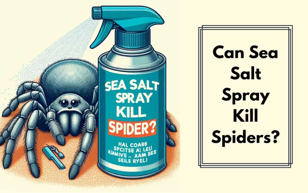 can sea salt spray kill spiders